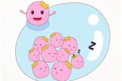 卵泡的生長過程怎樣的?卵泡期是什么意思?